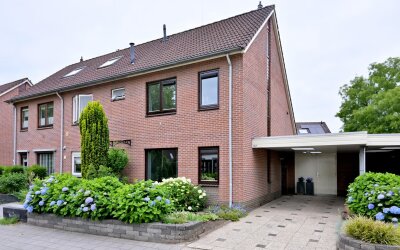 Grote ratelaar 187