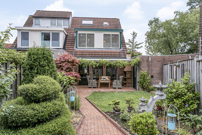 Korenbloem 30