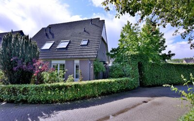 Teunisbloem 2