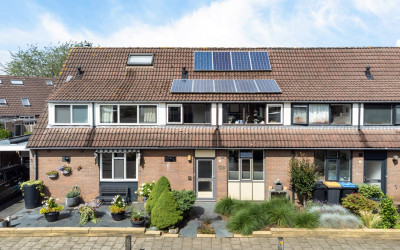 Sleutelbloem 3