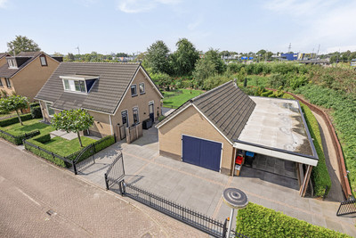 Sleutelbloem 33