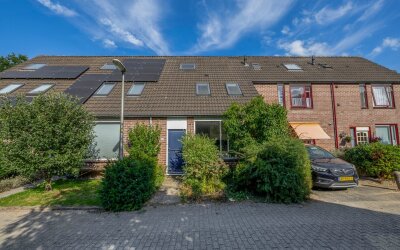 Vlaamse gaai 43