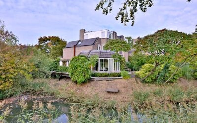 Roodborst 11