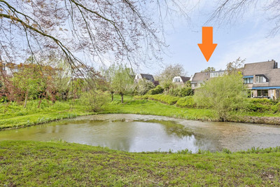Roodborst 14