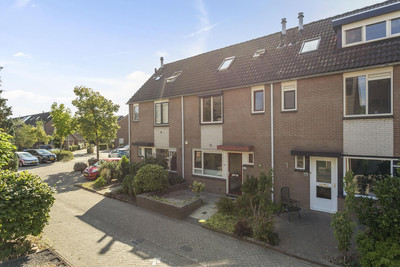 Dagpauwoog 28