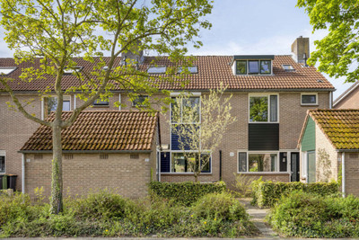 Wilgehaantje 10
