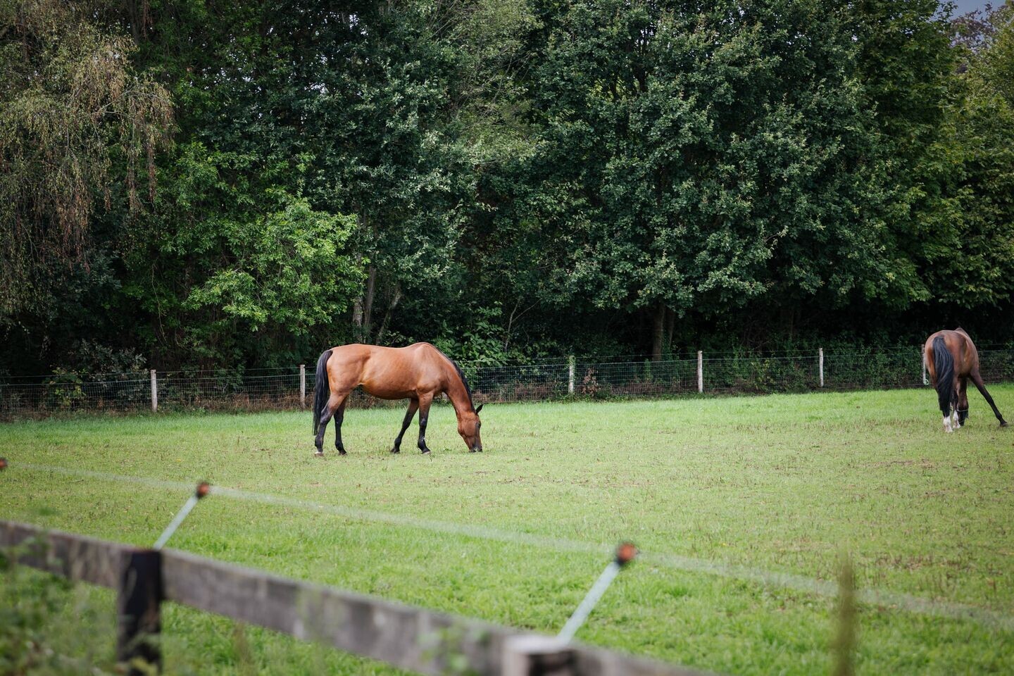 Twee-onder-één-kap te koop: Wechelerweg 46B, Diepenveen