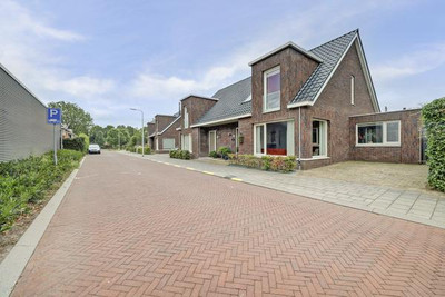 Bramhaar 2