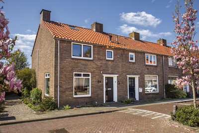 Korenbloems. 1