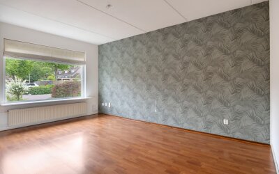 Gentiaan 11