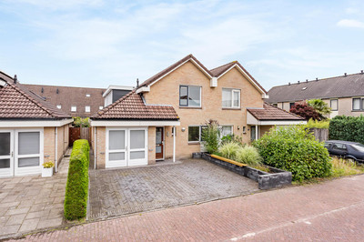 Pijlkruid 4