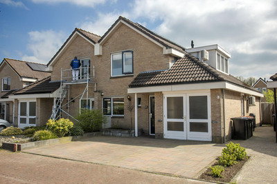 Pijlkruid 11