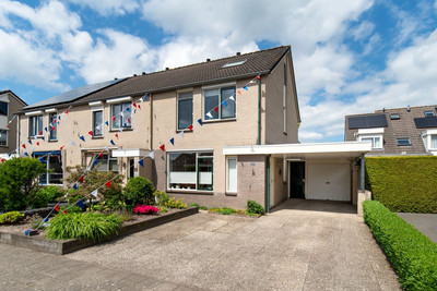 Pijlkruid 53