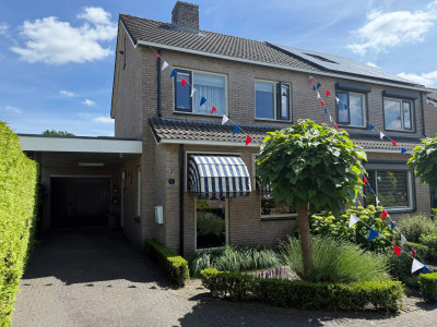 Pijlkruid 57