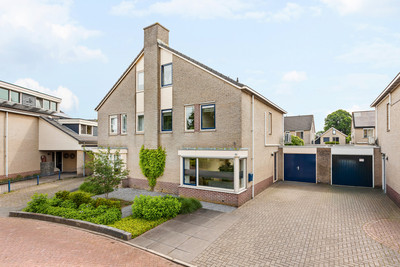 Wintergroen 11