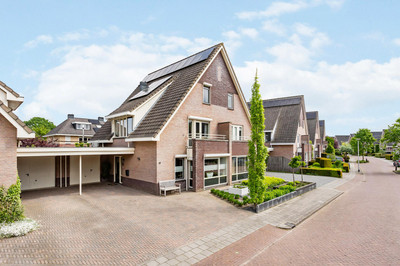 Koningsvaren 49