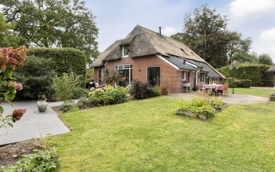 Hoornbloem 10