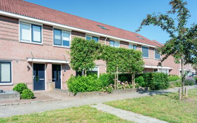 Zenegroen 5