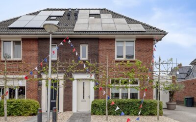 Paardebloem 28