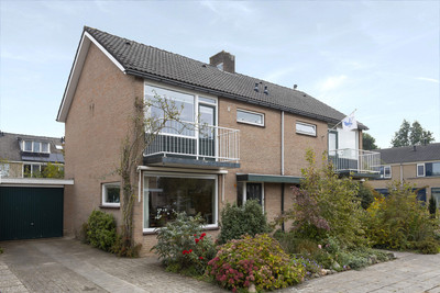 Meeuwenstraat 4