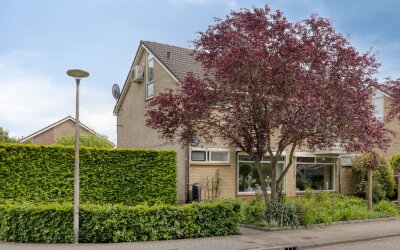 Catsstraat 48