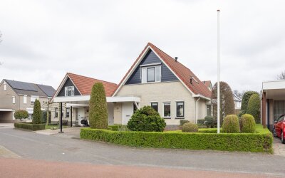 Boterbloem 25