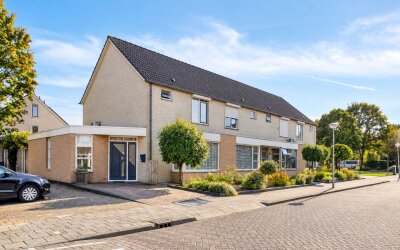 Korenbloem 8
