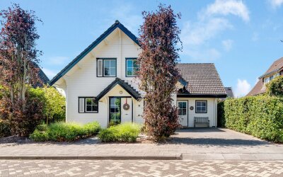 Zilverschoon 9