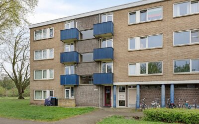 Roelof van. 209