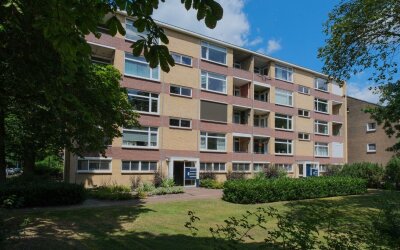 Dommelstraat 24