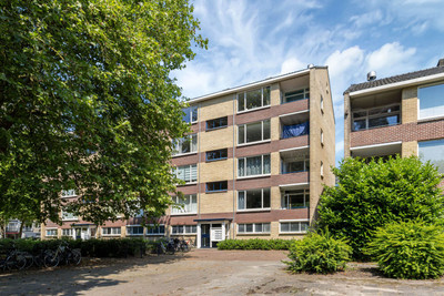 Dommelstraat 84