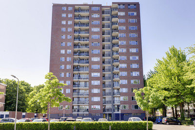 Jekerstraat 242