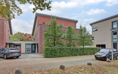 Eikebladvlinder 11