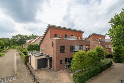 Eikebladvlinder 7