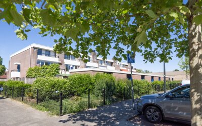 Jan Vermeer. 10-20