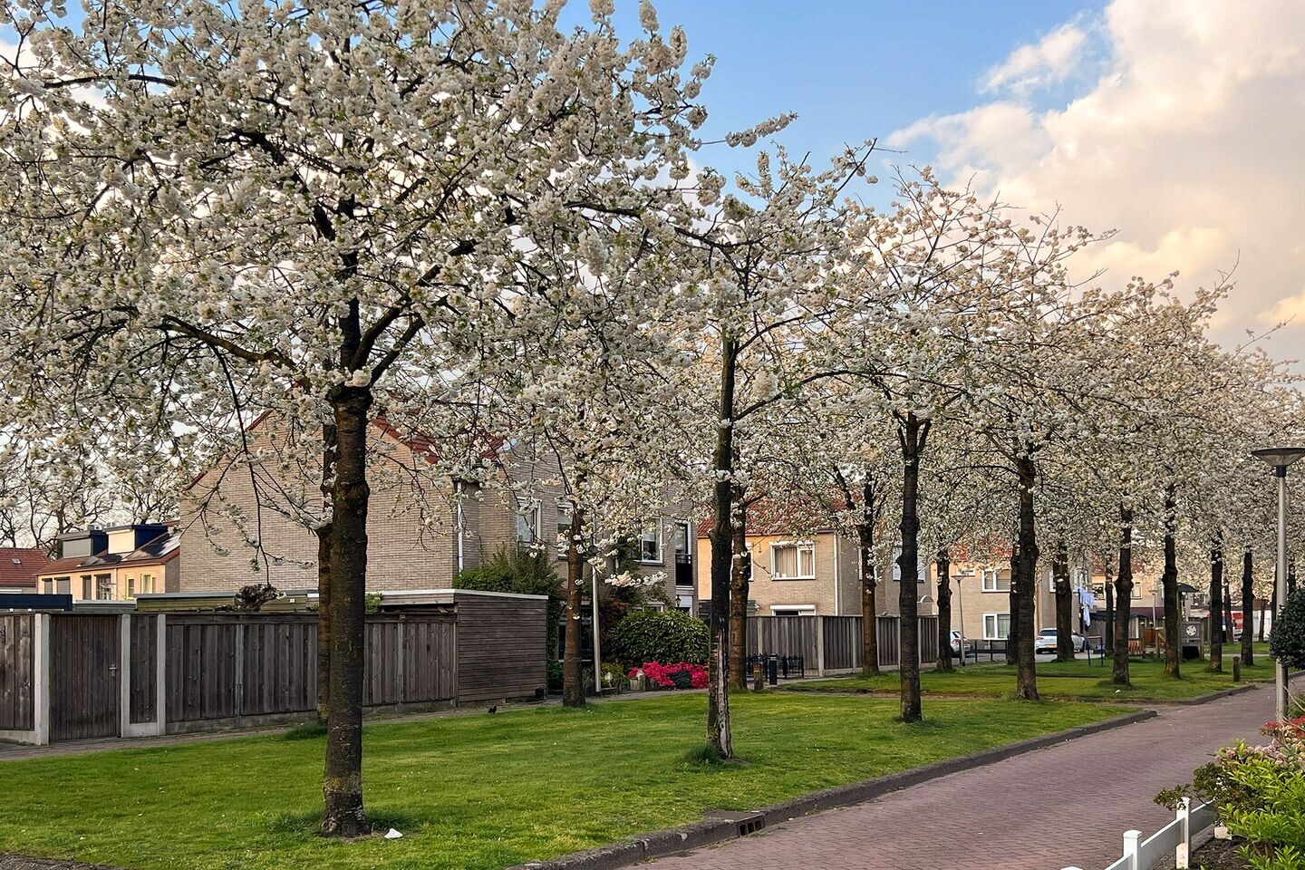 Twee-onder-één-kap te koop: Gerard Terborghstraat 62, Enschede