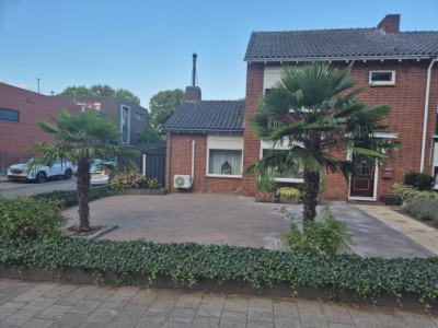 Ferdinand Bolstraat 31