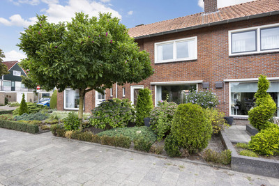 Meeuwenstraat 3