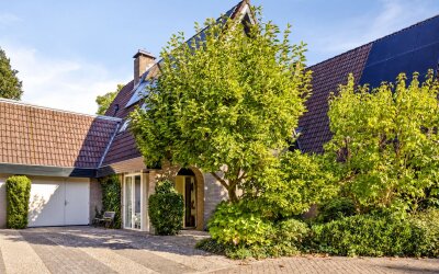 Andoorn 63