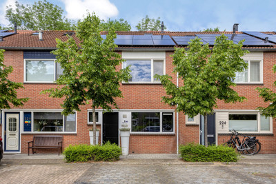 Zilverschoon 226