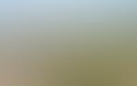 Orgellaan 10
