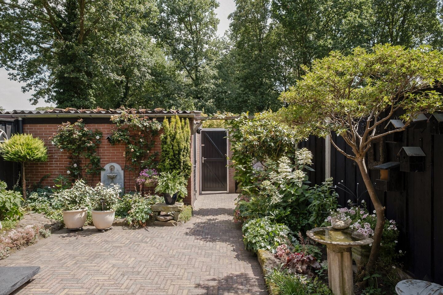 Tussenwoning te koop: Flamingostraat 3, Losser