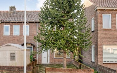 Zwaluwenstraat 29