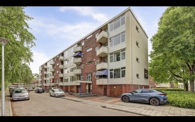 Pieter de Hoochstraat 52
