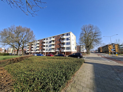 Meindert Hobbemastraat 50