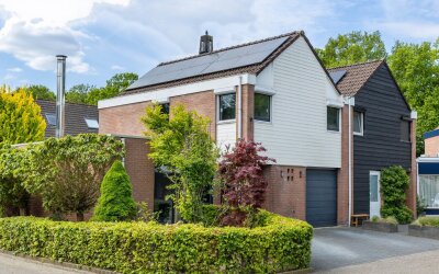 De Buizerd 85