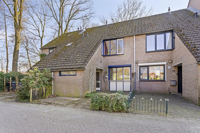 De Gent 26