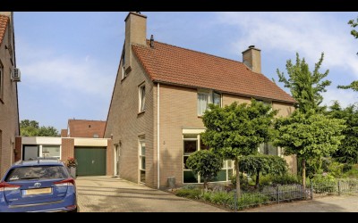 De Regenwulp 8