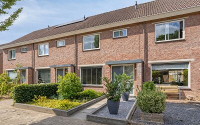 Boterbloem 15