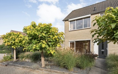 Wijnruitstraat 1